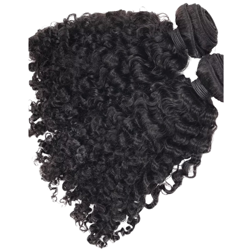 Burmese Curly